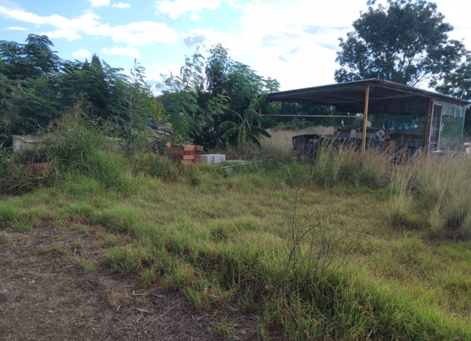 CBHN1198 - Parcelle agricole en milieu naturel près de Denia