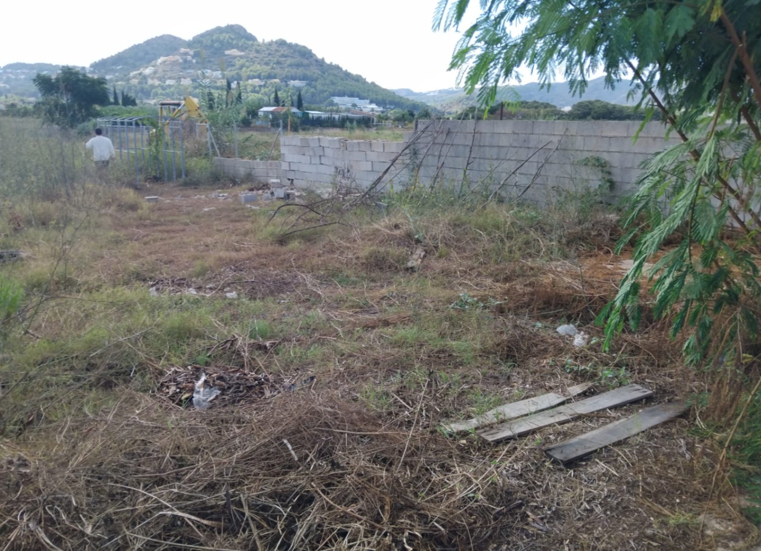 Agricultural plot in a natural setting near Denia