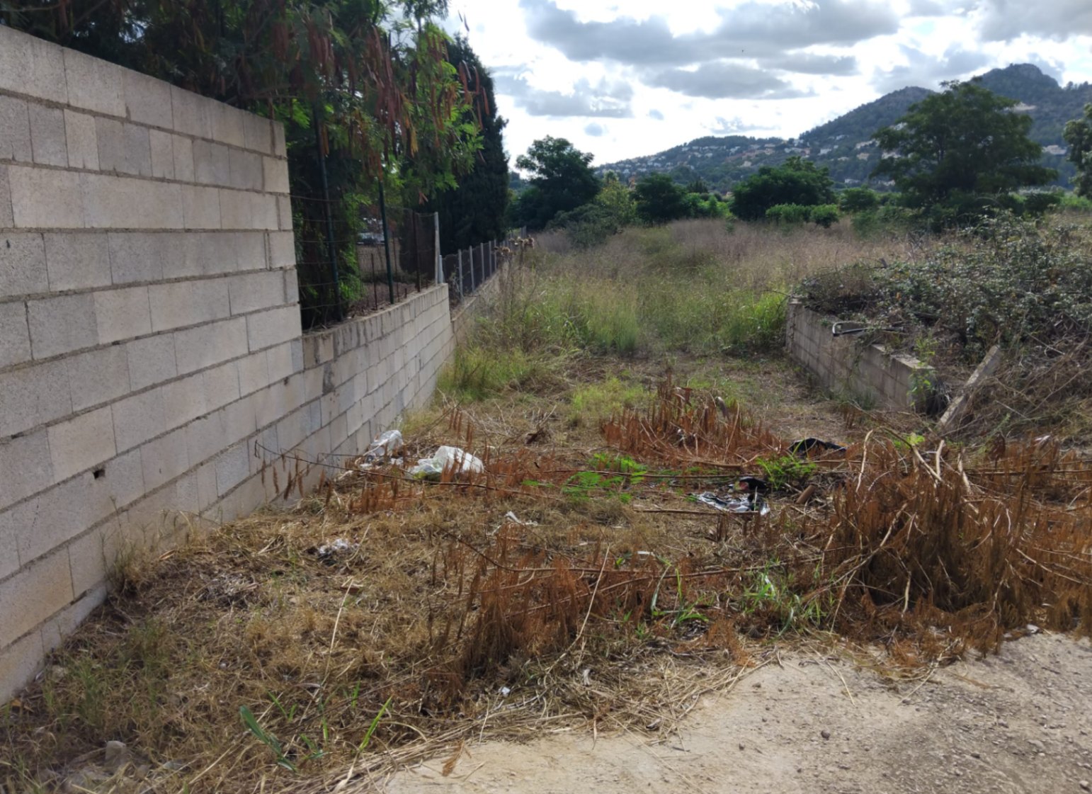 Agricultural plot in a natural setting near Denia