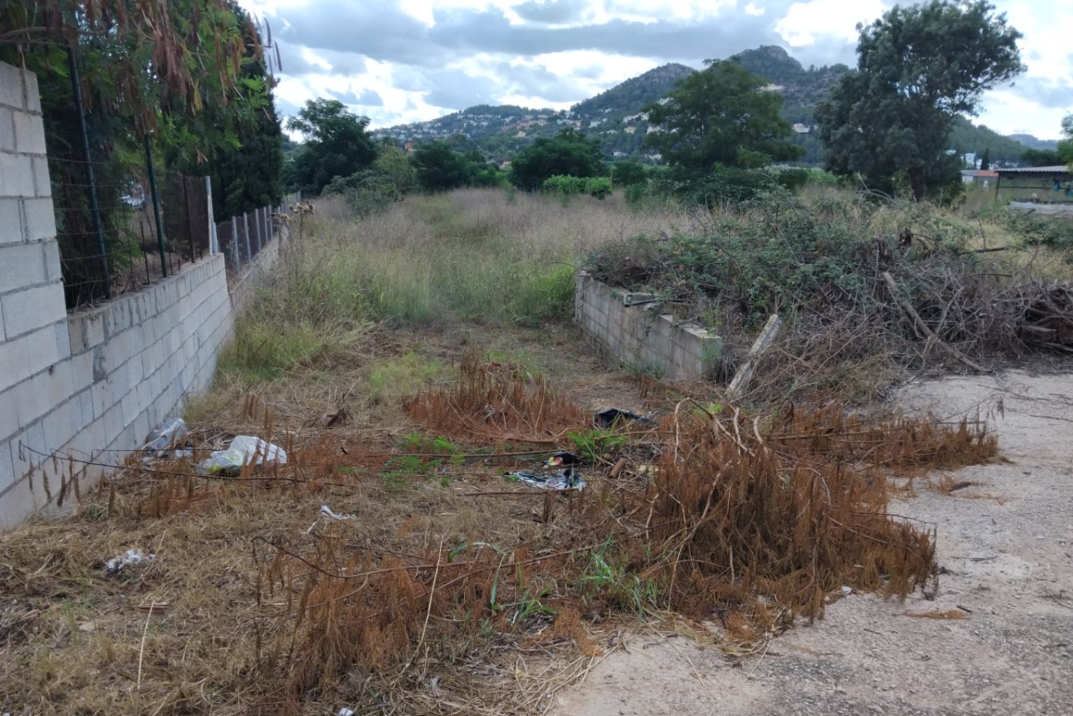 Agricultural plot in a natural setting near Denia