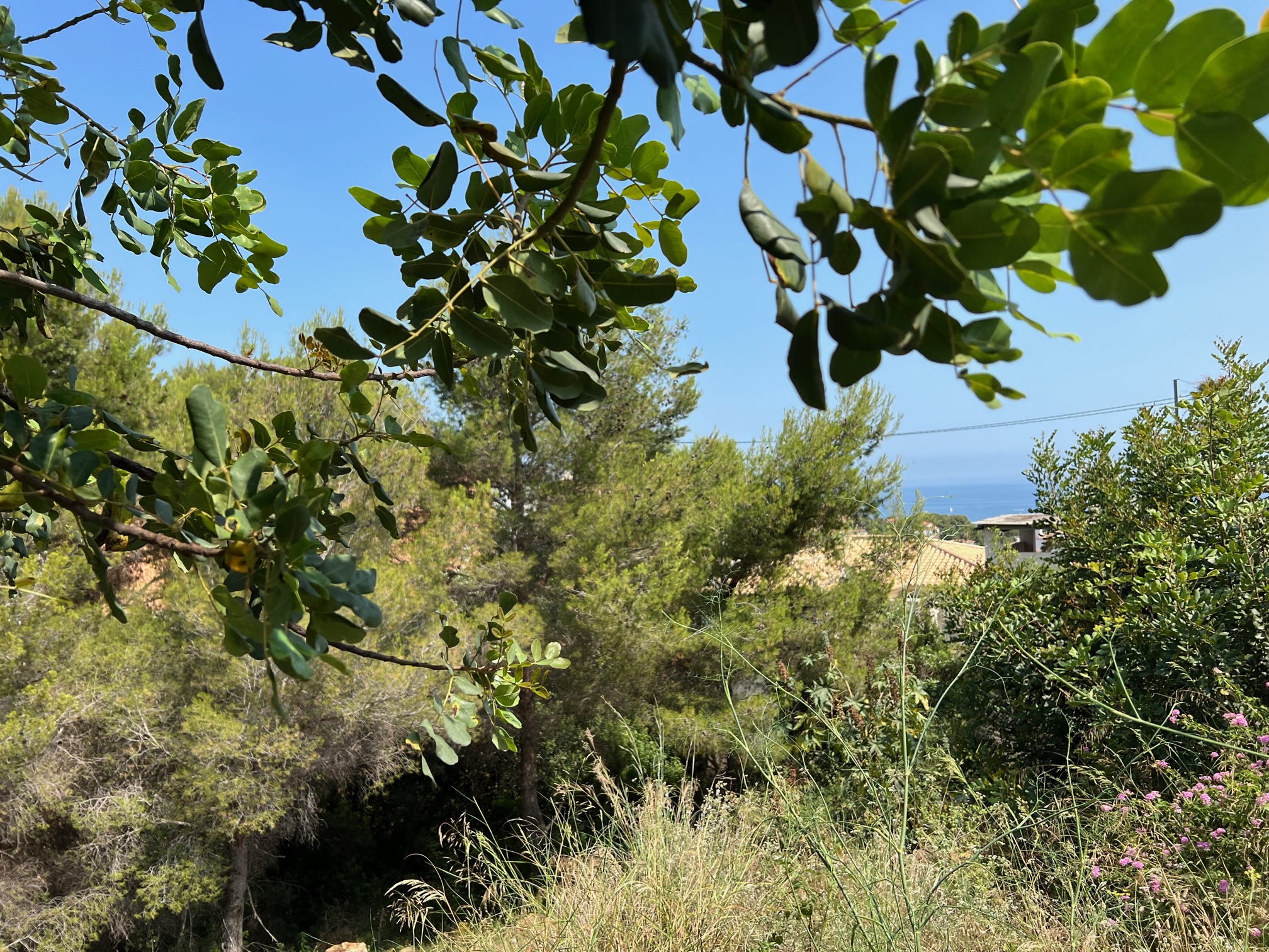 Perceel met uitzicht op zee en Montgó in Denia